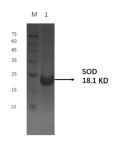 1701257877866.jpg